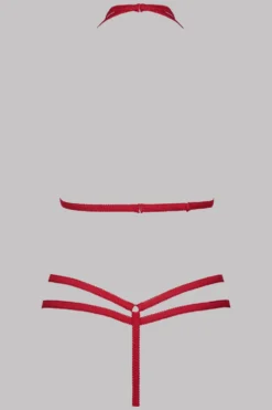 Le Petit SecretEnsemble Harnais & String