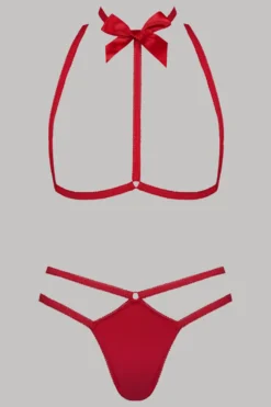 Le Petit SecretEnsemble Harnais & String