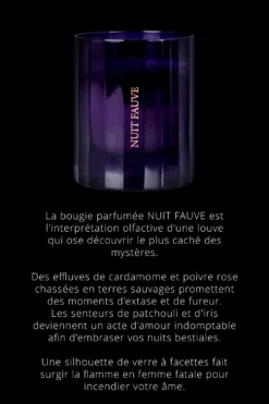 Nuit FauveBougie d'ambiance notes Chyprées