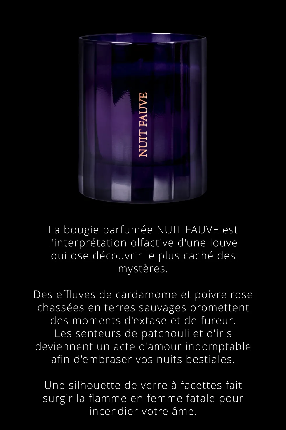 Nuit FauveBougie d'ambiance notes Chyprées